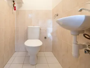 Pronájem bytu 3+kk, Brozany nad Ohří, Palackého náměstí, 65 m2