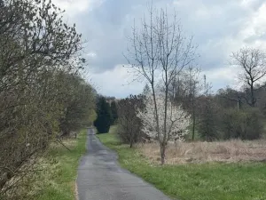 Prodej pozemku pro bydlení, Ostrava - Radvanice, Kopcovecká, 56151 m2