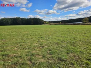 Prodej pozemku pro bydlení, Nová Ves, 73573 m2