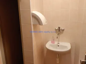 Pronájem kanceláře, Hradec Králové - Pražské Předměstí, S. K. Neumanna, 31 m2