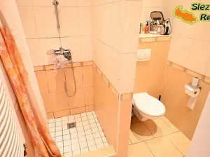 Prodej bytu 1+kk, Ostravice, 52 m2