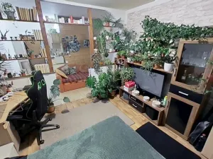 Prodej bytu 1+kk, Jihlava, Polní, 29 m2