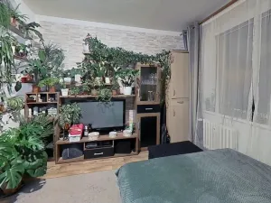 Prodej bytu 1+kk, Jihlava, Polní, 29 m2