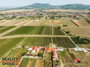 Prodej bytu 3+kk, Dolní Dunajovice, 60 m2