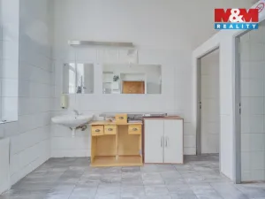 Pronájem obchodního prostoru, Plzeň - Jižní Předměstí, Havlíčkova, 185 m2