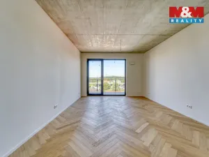 Prodej bytu 3+kk, Plzeň - Východní Předměstí, Kamenická, 134 m2