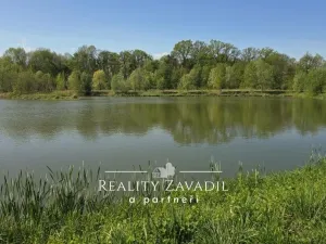 Prodej rybníku, Žabeň, 30500 m2