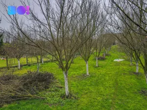 Prodej pozemku pro bydlení, Dub nad Moravou - Bolelouc, 1966 m2