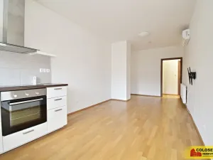 Pronájem bytu 3+kk, Brno - Veveří, 68 m2