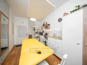 Prodej obchodního prostoru, České Budějovice - České Budějovice 3, J. Š. Baara, 41 m2