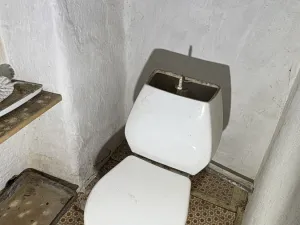 Prodej zemědělské usedlosti, Žihobce - Kadešice, 90 m2