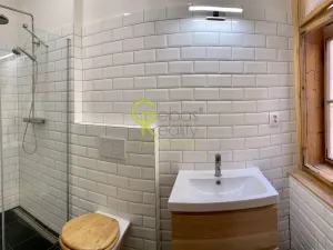 Pronájem bytu 1+1, Praha - Nové Město, Na výtoni, 41 m2