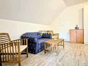 Prodej ubytování, Leskovec nad Moravicí, 200 m2