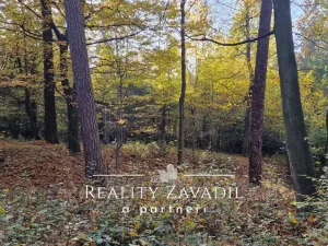 Prodej lesa, Morávka, 27814 m2