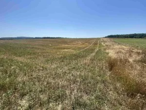 Prodej pole, Ostrovec - Dědovice, 34981 m2