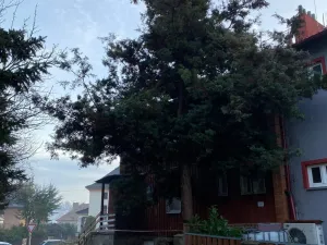 Prodej rodinného domu, Ústí nad Labem - Klíše, Na Drahách, 180 m2