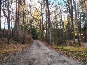 Prodej chaty, Malšice, 28 m2