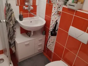 Pronájem bytu 1+kk, Brno - Veveří, Smetanova, 22 m2