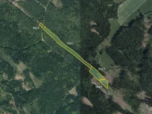 Prodej lesa, Horní Radouň, 21861 m2