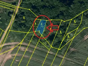 Prodej lesa, Velká Polom, 3922 m2