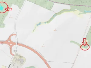 Prodej lesa, Velká Polom, 3922 m2