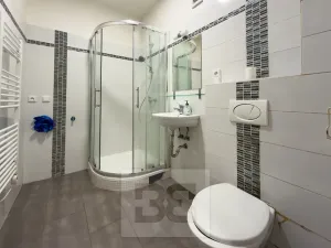 Pronájem bytu 2+kk, Praha - Žižkov, Viklefova, 46 m2