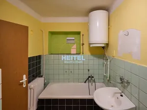 Prodej vícegeneračního domu, Prosenice, Na Chmelínku, 205 m2