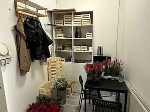 Pronájem obchodního prostoru, Brno, náměstí Svobody, 64 m2