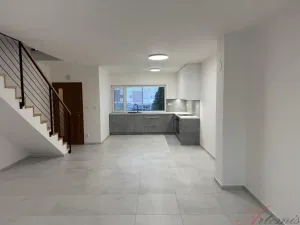 Pronájem rodinného domu, Ostrava - Muglinov, V Hruškovém Sadu, 196 m2