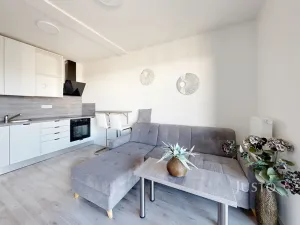 Pronájem bytu 1+kk, České Budějovice - České Budějovice 4, Vrbenská, 32 m2