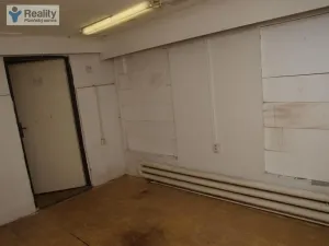 Pronájem skladu, Plzeň - Východní Předměstí, Úslavská, 142 m2
