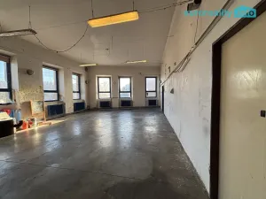 Prodej obchodního prostoru, Dnešice - Černotín, 205 m2