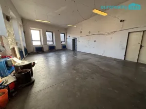 Prodej obchodního prostoru, Dnešice - Černotín, 205 m2