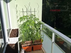 Prodej bytu 2+1, Brno, Jakuba Obrovského, 61 m2