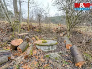 Prodej pozemku pro bydlení, Sušice - Nuzerov, 2649 m2