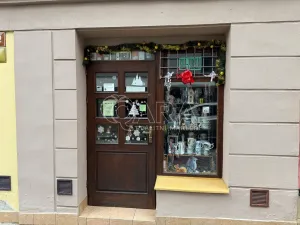 Pronájem obchodního prostoru, Nový Jičín, Úzká, 19 m2