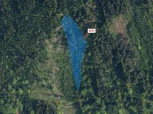 Dražba lesa, Velké Hamry, 6125 m2