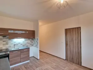 Prodej bytu 1+1, Chlumec, Tuchomyšlská, 38 m2