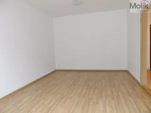 Pronájem bytu 1+1, Most, Žatecká, 35 m2