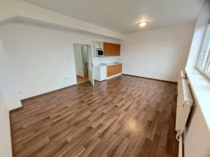 Pronájem bytu 1+kk, Brno, Renneská třída, 35 m2