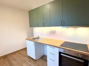 Pronájem bytu 2+1, Cheb, 17. listopadu, 54 m2