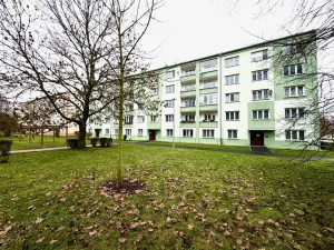 Pronájem bytu 2+1, Cheb, 17. listopadu, 54 m2