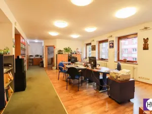 Pronájem obchodního prostoru, Ostrava, U Dvoru, 314 m2