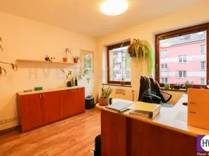 Pronájem obchodního prostoru, Ostrava, U Dvoru, 314 m2