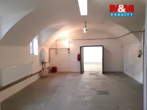 Pronájem zemědělského objektu, Lešná, 220 m2