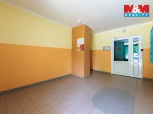 Prodej bytu 2+1, Sokolov, Alšova, 62 m2