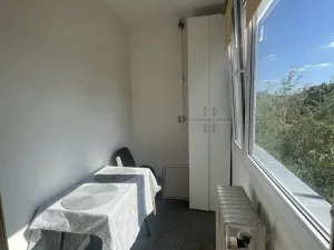 Pronájem bytu 1+kk, Kladno, Benešovská, 28 m2