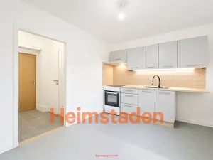Pronájem bytu 1+1, Karviná - Nové Město, Fučíkova, 27 m2
