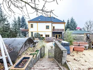 Prodej rodinného domu, Chabařovice, 339 m2