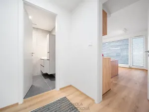 Pronájem bytu 3+kk, Brno, Rybářská, 63 m2